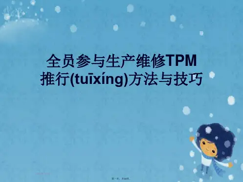全员参与生产维修TPM推行方法与技巧