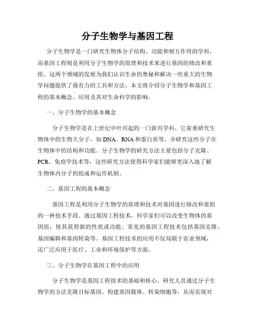 分子生物学与基因工程