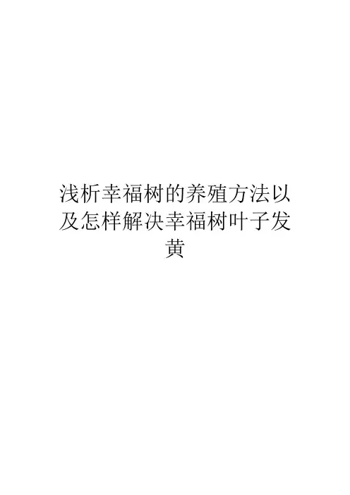 浅析幸福树的养殖方法以及怎样解决幸福树叶子发黄