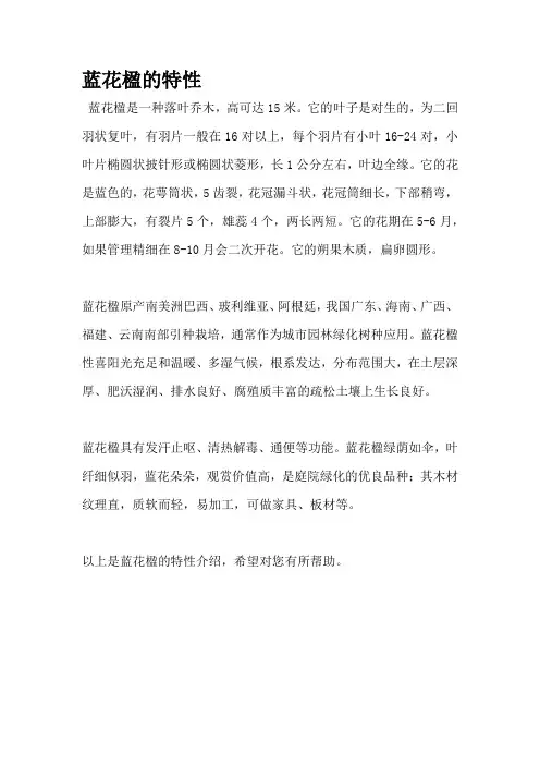蓝花楹的特性