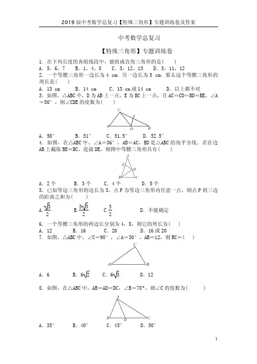 2019届中考数学总复习【特殊三角形】专题训练卷及答案