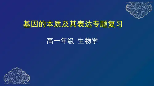 基因的本质及其表达专题复习-天津市空中课堂人教版(2019)高中生物必修二课件(共32张PPT)