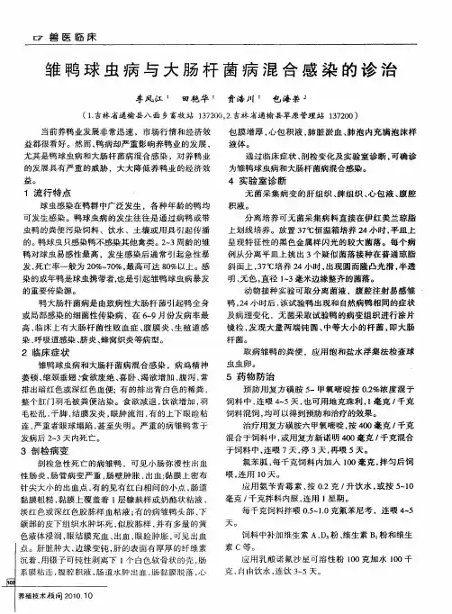 雏鸭球虫病与大肠杆菌病混合感染的诊治