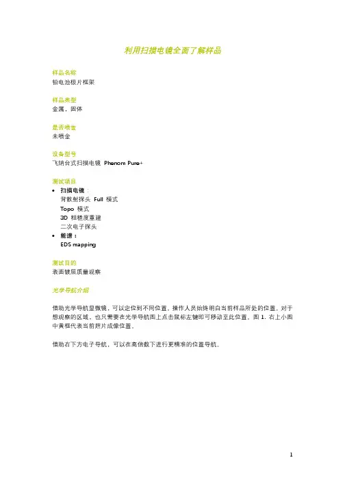 利用扫描电镜全面了解样品