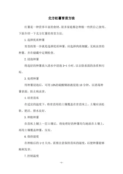 北方红薯育苗方法