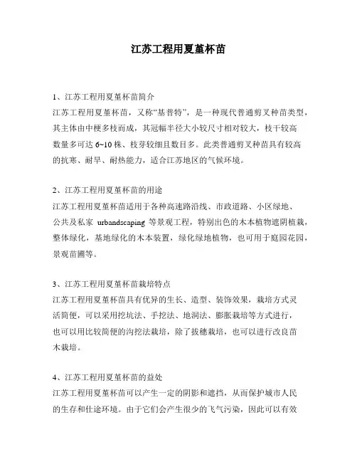 江苏工程用夏堇杯苗