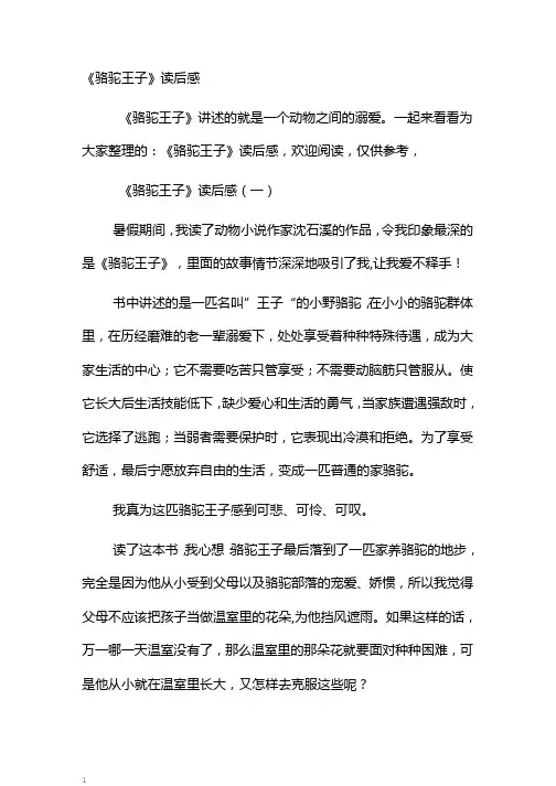 《骆驼王子》读后感