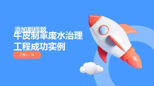牛皮制革废水治理工程成功实例