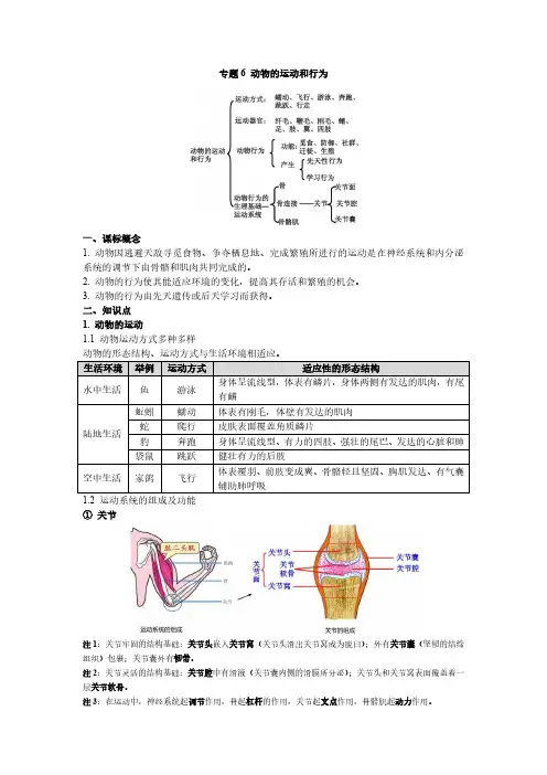 2022年初中生物中考总复习 专题6-动物的运动和行为(完整)