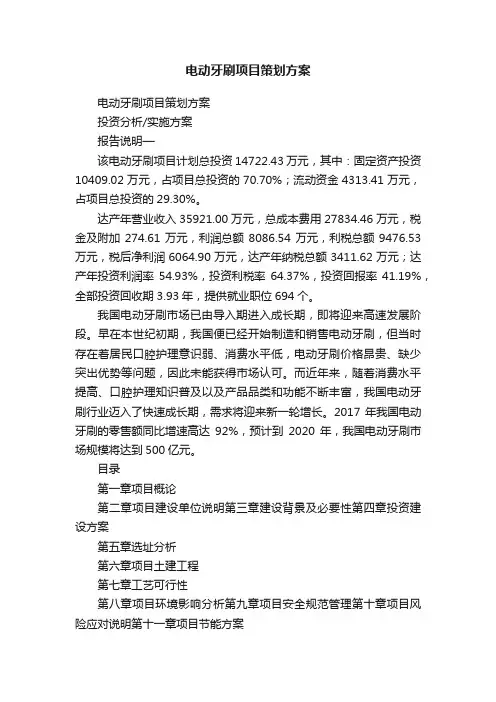 电动牙刷项目策划方案