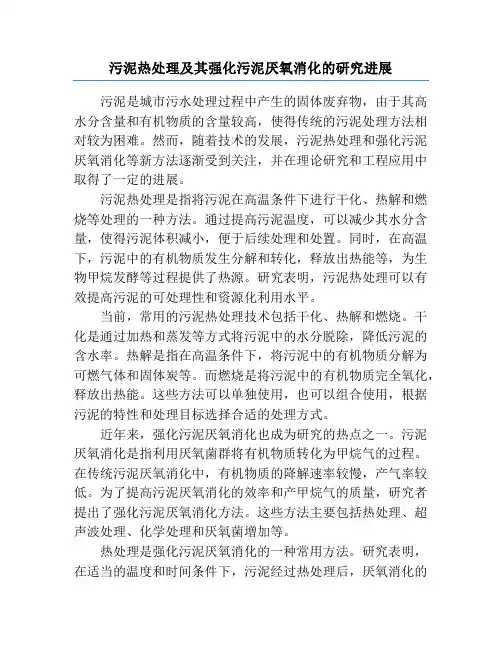 污泥热处理及其强化污泥厌氧消化的研究进展
