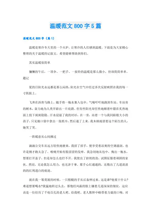 温暖范文800字5篇