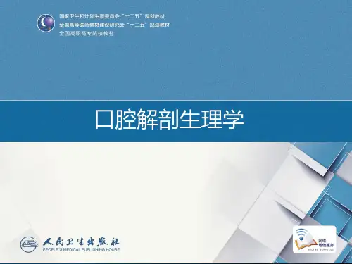 口腔解剖生理学pptppt课件