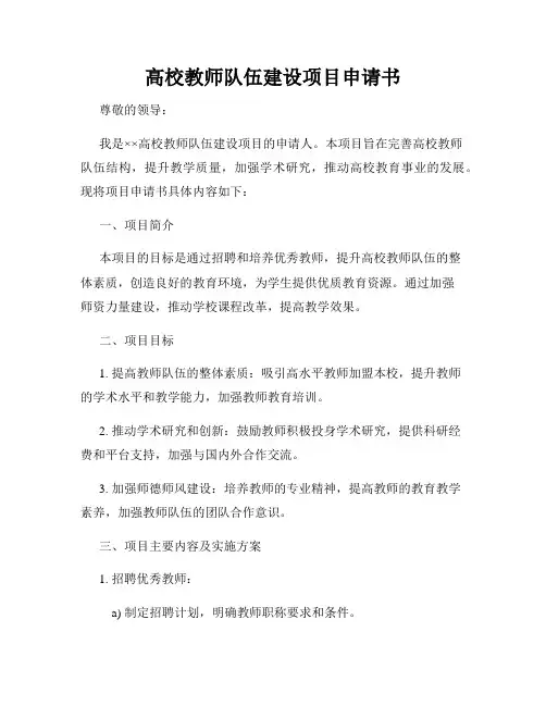 高校教师队伍建设项目申请书