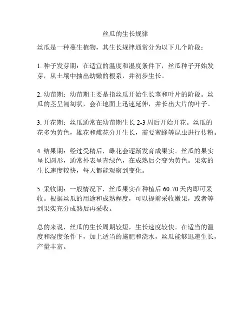 丝瓜的生长规律