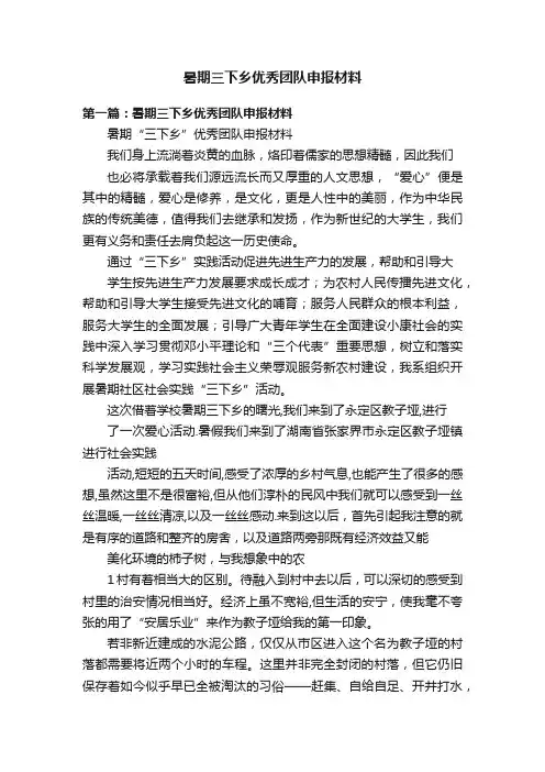 暑期三下乡优秀团队申报材料