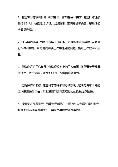 加强青年干部成长成才的落实措施