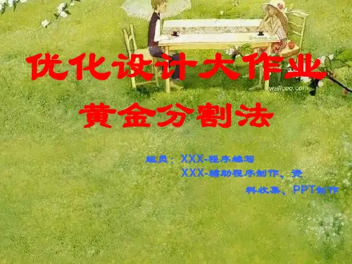 优化设计-黄金分割(VB程序编写)