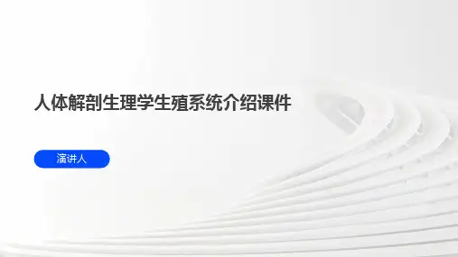 人体解剖生理学生殖系统介绍课件
