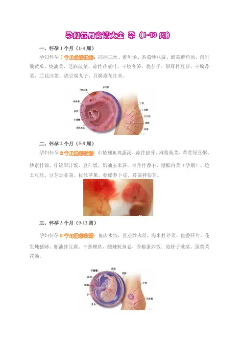 孕妇每月食谱大全