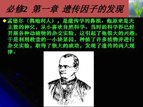 人教版生物必修二1.1孟德尔的豌豆杂交实验(一)高中生物精品公开课