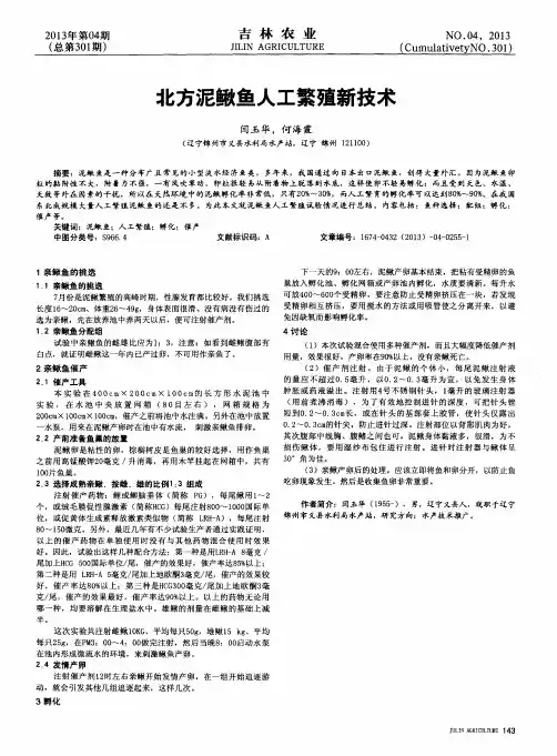 北方泥鳅鱼人工繁殖新技术
