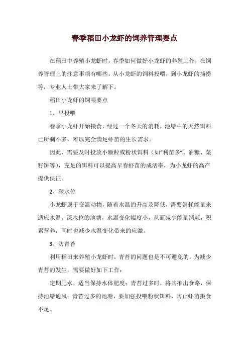 春季稻田小龙虾的饲养管理要点
