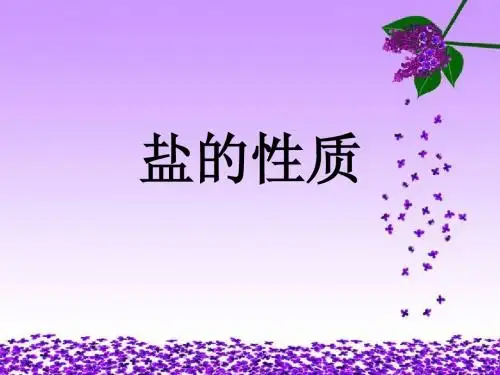 盐的化学性质