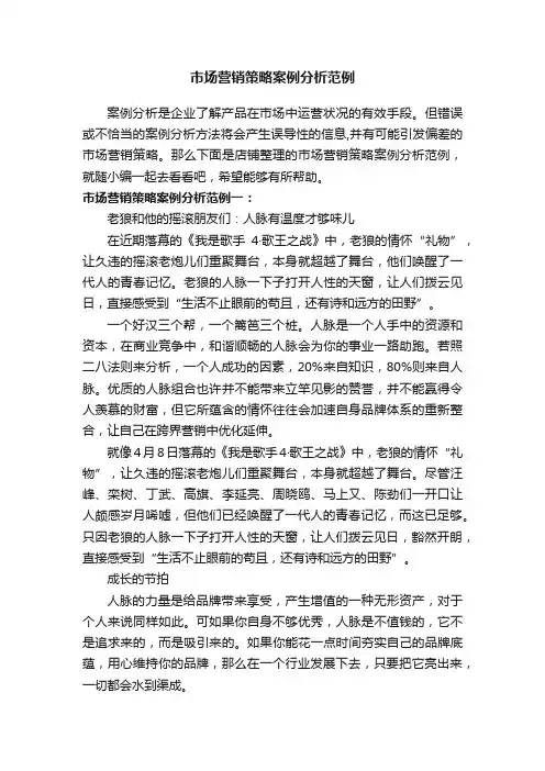 市场营销策略案例分析范例