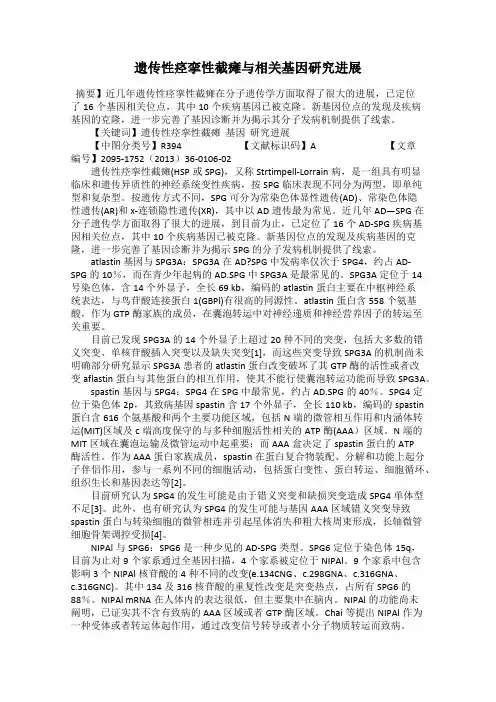 遗传性痉挛性截瘫与相关基因研究进展