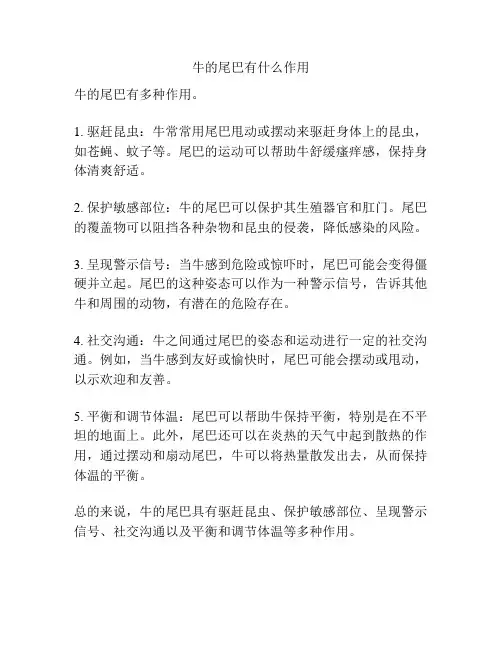 牛的尾巴有什么作用