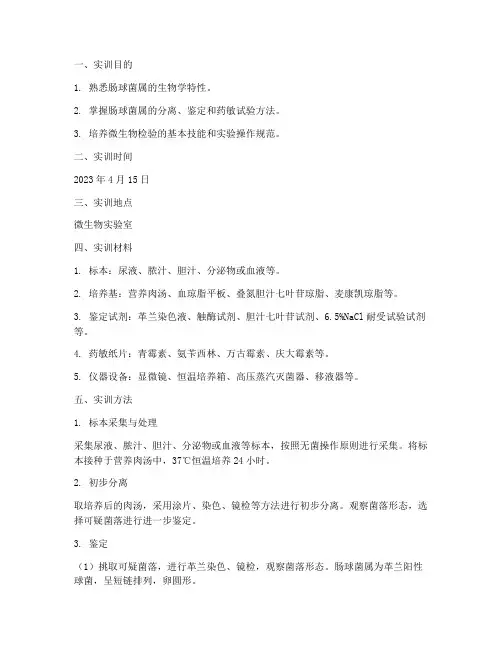 肠球菌属的检验实训报告