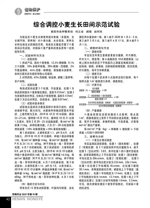 综合调控小麦生长田间示范试验