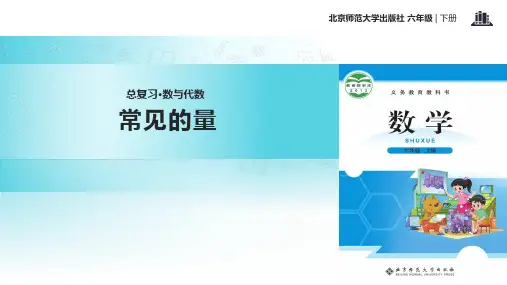 新北师大版六年级数学下册《复习  常见的量》课件_20