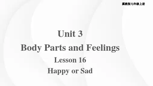2023-2024学年英语冀教版七年级上册 Unit 3 Lesson 16 课件(七上)