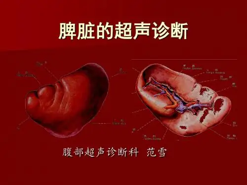 脾脏的超声诊断