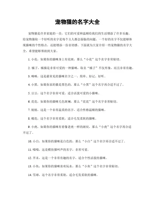 宠物猫的名字大全