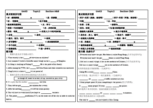 仁爱英语九年级下册Unit5Topic2