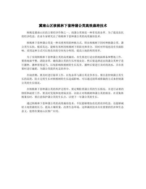 冀南山区核桃林下套种蒲公英高效栽培技术