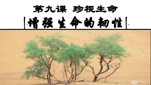 [人教版]七上道德与法治9.2增强生命的韧性(共17张PPT)