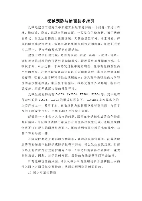 泛碱预防与治理技术指引