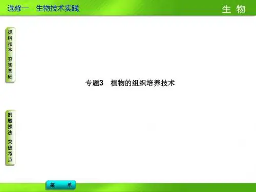 专题3 植物的组织培养技术   课件 人教版选修一