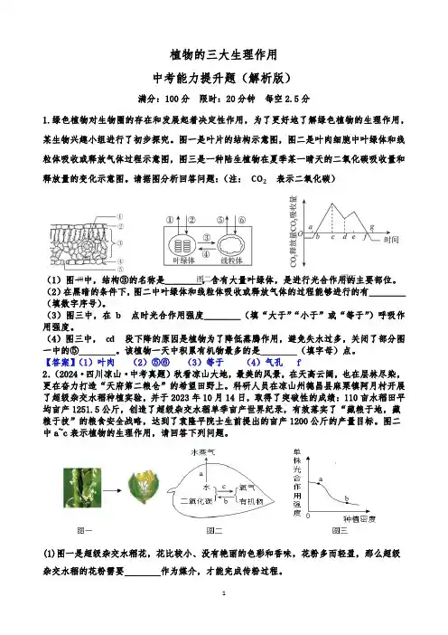 植物的三大生理作用 - 中考能力提升题(附答案)