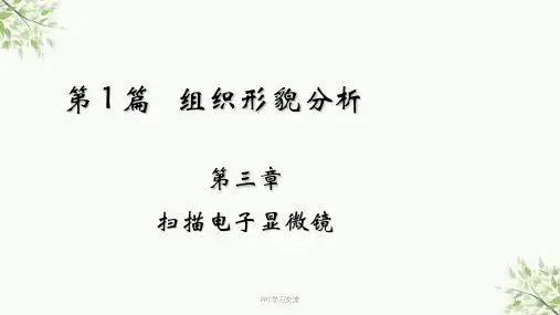第三章-扫描电子显微镜课件