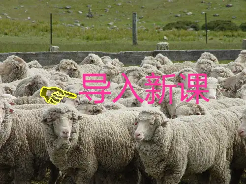 课件：西部开发的重要阵地——新疆维吾尔自治区