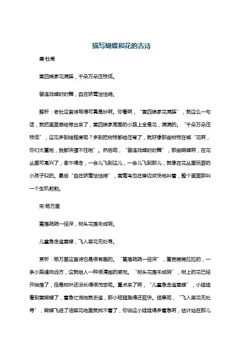 描写蝴蝶和花的古诗