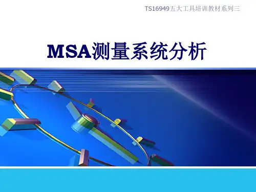 经典详细的MSA培训资料