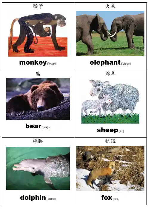 少儿英语单词卡片(英汉对照带音标)
