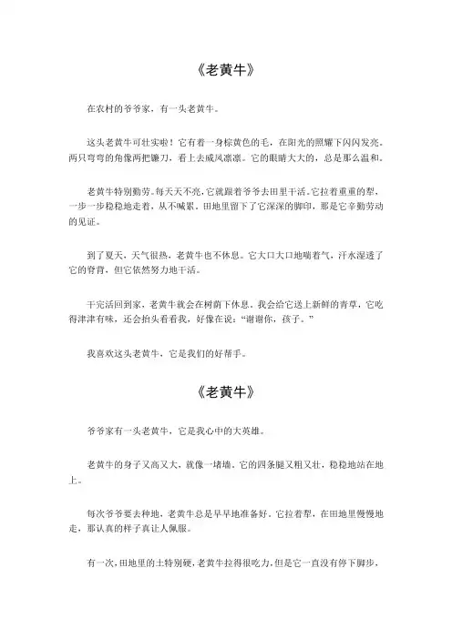 老黄牛作文300字左右
