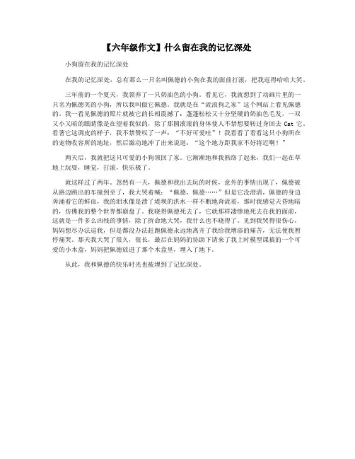 【六年级作文】什么留在我的记忆深处